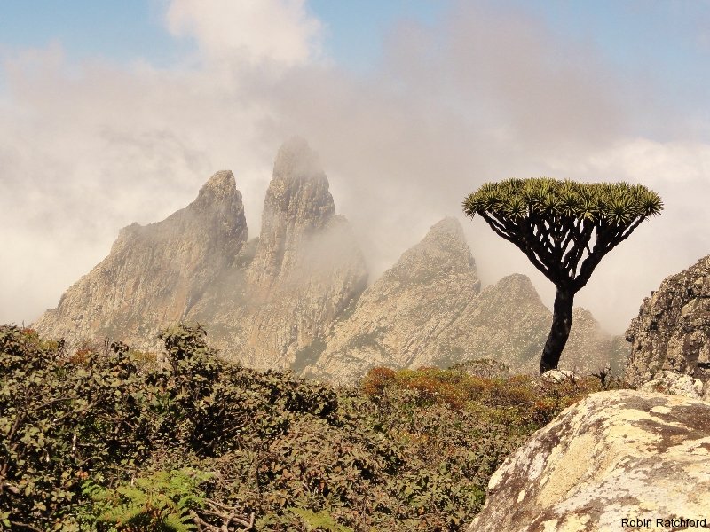 Socotra: The Mysterious Island of the Assyrian Church of the East